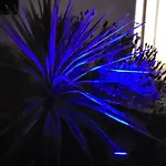Casa Vitorino 度假居 莱里亚