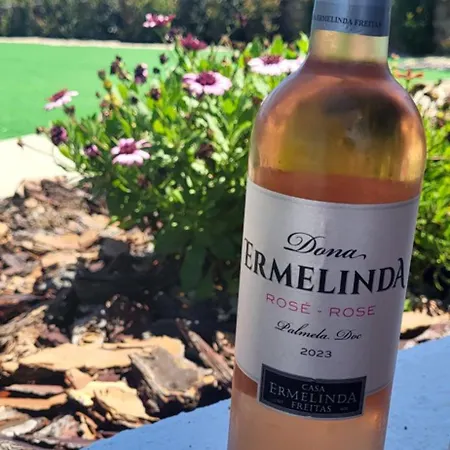 Casa Vitorino Prázdninový dům