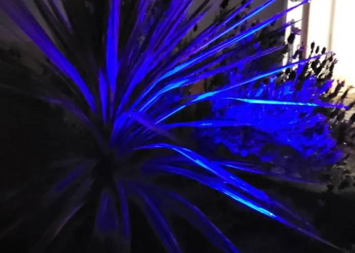 Casa Vitorino Дом отдыха Лейрия