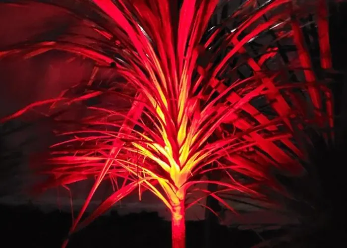 Casa Vitorino Дом отдыха Лейрия