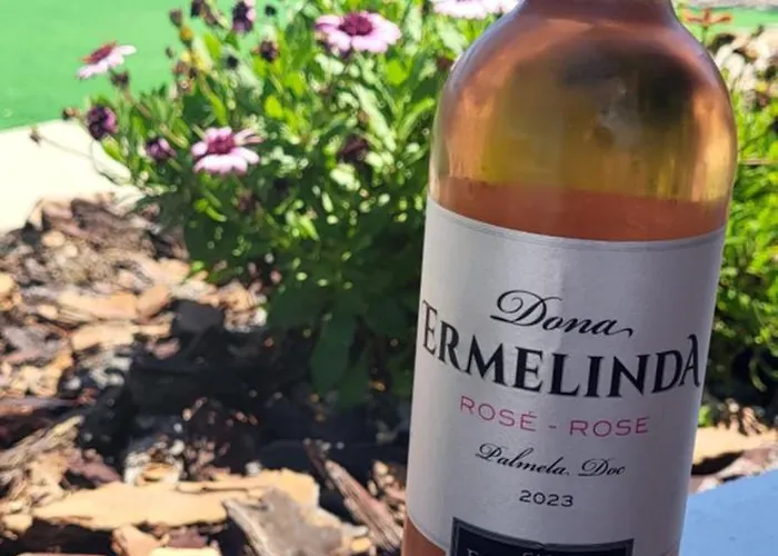 Casa Vitorino Дом отдыха