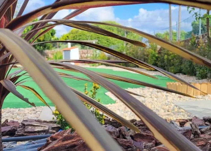 Casa Vitorino Дом отдыха