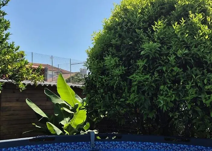 Casa Vitorino Дом отдыха *